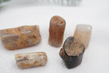 Mineral and Jewelry buyout