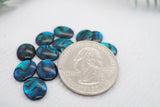Mineral and Jewelry buyout