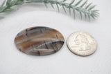 Mineral and Jewelry buyout