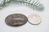 Mineral and Jewelry buyout