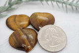 Mineral and Jewelry buyout