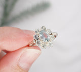 White Gold Montana Sapphire Cluster Ring