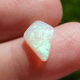 Australian Shield Opal, 1.75ct
