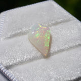 Australian Shield Opal, 1.75ct