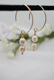 Dangle Freshwater Pearl Earrings