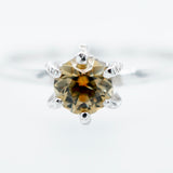 Multicolored Montana Sapphire Ring