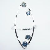 Stunning Alignment Montana Sapphire Ring