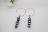 Gold Black Freshwater Pearl Earrings
