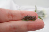 Incredible Rare Raw Moldavite Crystal, Meteorite rock, Genuine Moldavite Stone 6