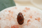 Dinosaur Bone Ring