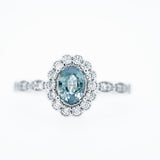"Adalaide" Montana Sapphire Ring