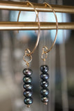 Dangle Black Freshwater Pearl Earrings