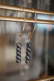 Gold Black Freshwater Pearl Earrings