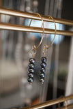 Gold Black Freshwater Pearl Earrings